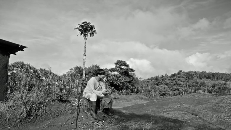 Gallery image from giGuIdabmTxWKaj8PXw1PDD496M.jpg