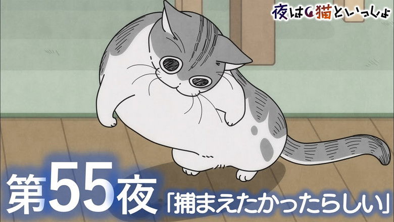 Still image for Nights with a Cat season 1 episode 55: Night 55: He Really Wanted That Catch