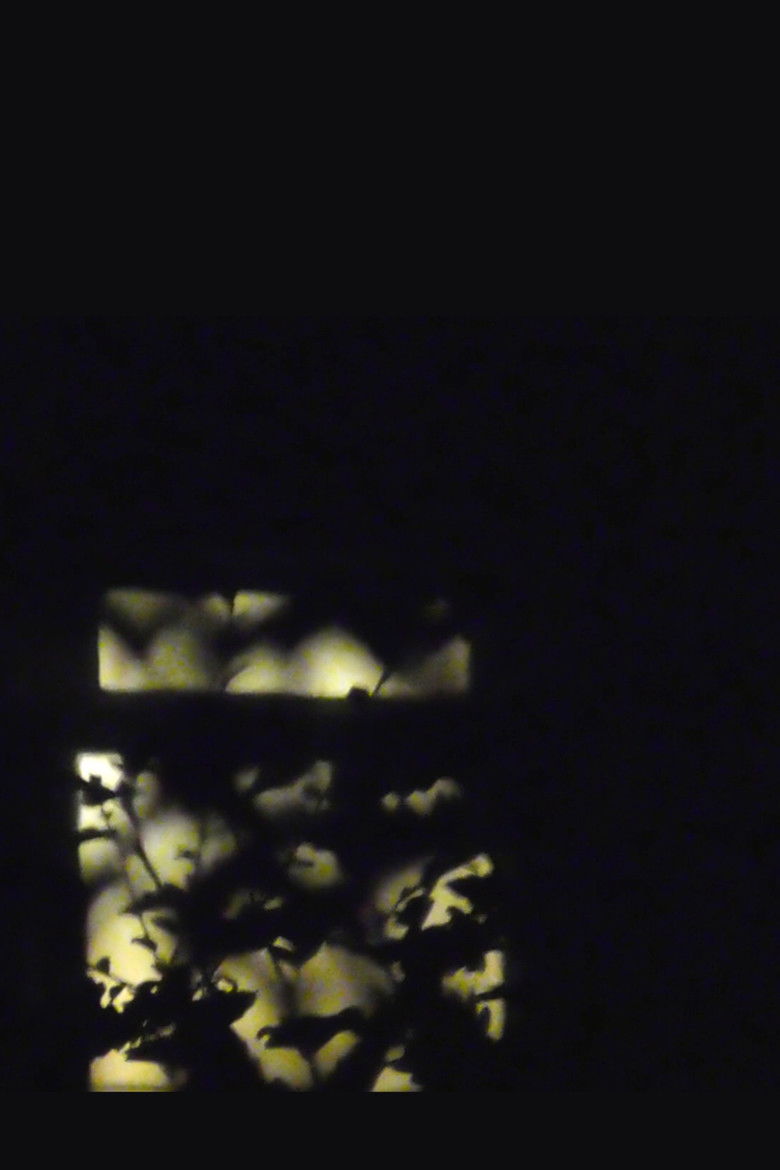 Imatge de [D R E A M V A L L E Y]