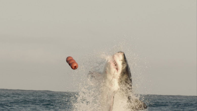 Still image for Descending season 1 episode 7: The Big Six Still image for Descending season 1 episode 7: The Big Six