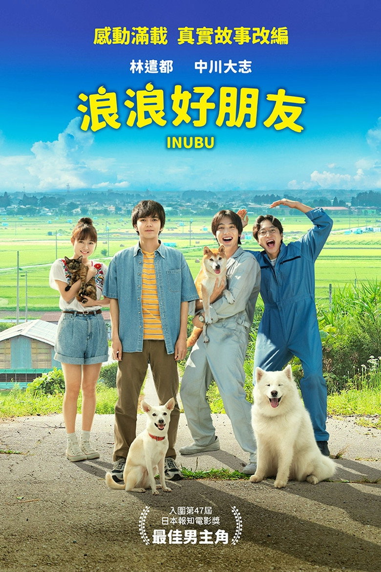 犬部! 封面海报