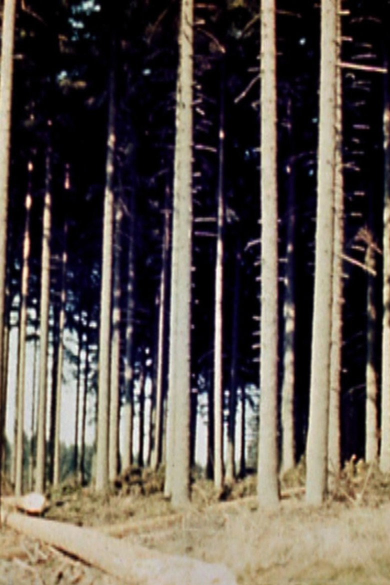 Imatge de Der Bayerische Wald mit den Augen eines Arschfickers gesehen