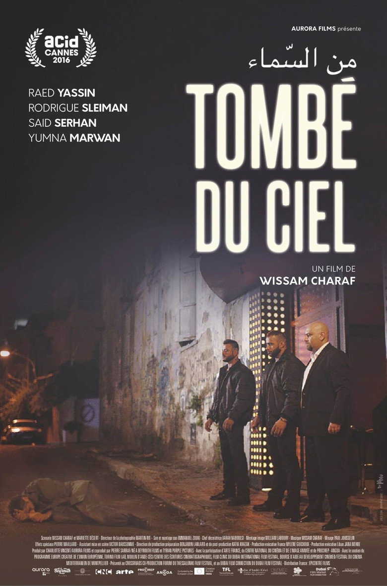 Affiche de TOMBÉ DU CIEL