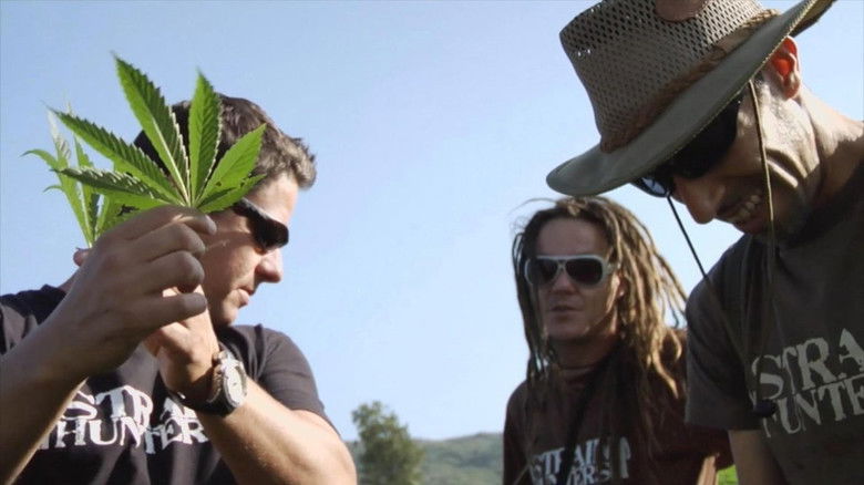 Still image for Criminels 2.0 season 1 episode 5: Arjan Roskam, The King of Cannabis