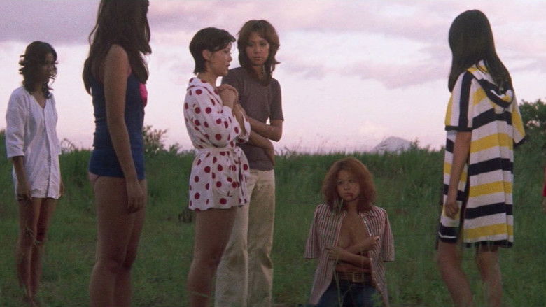 Imatge de 女番長ブルース 牝蜂の逆襲