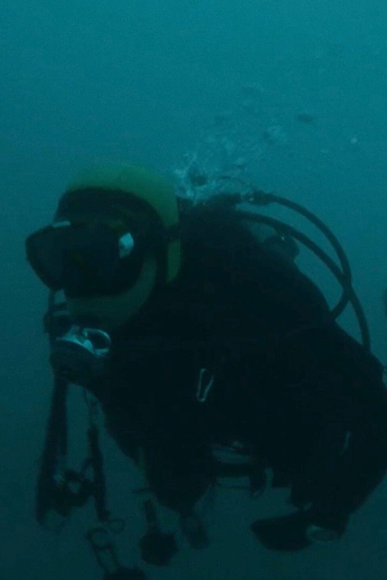 Imatge de All of Our Heartbeats Are Connected Through Exploding Stars