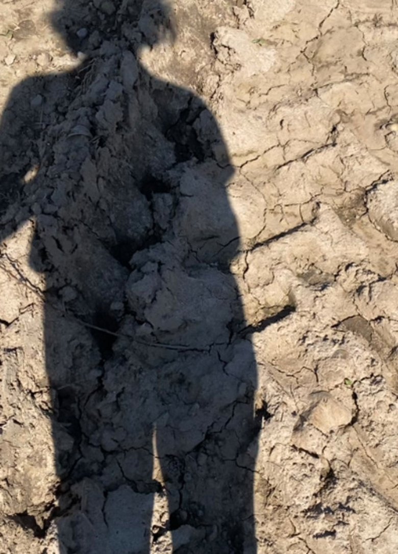 Scenes from My Recent (1970)