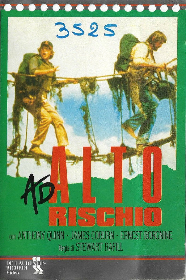 Ad alto rischio (1981)