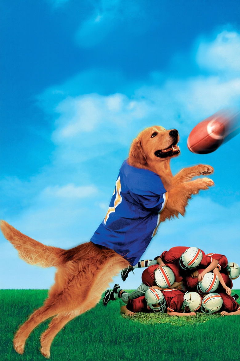 Imatge de Air Bud: Golden Receiver