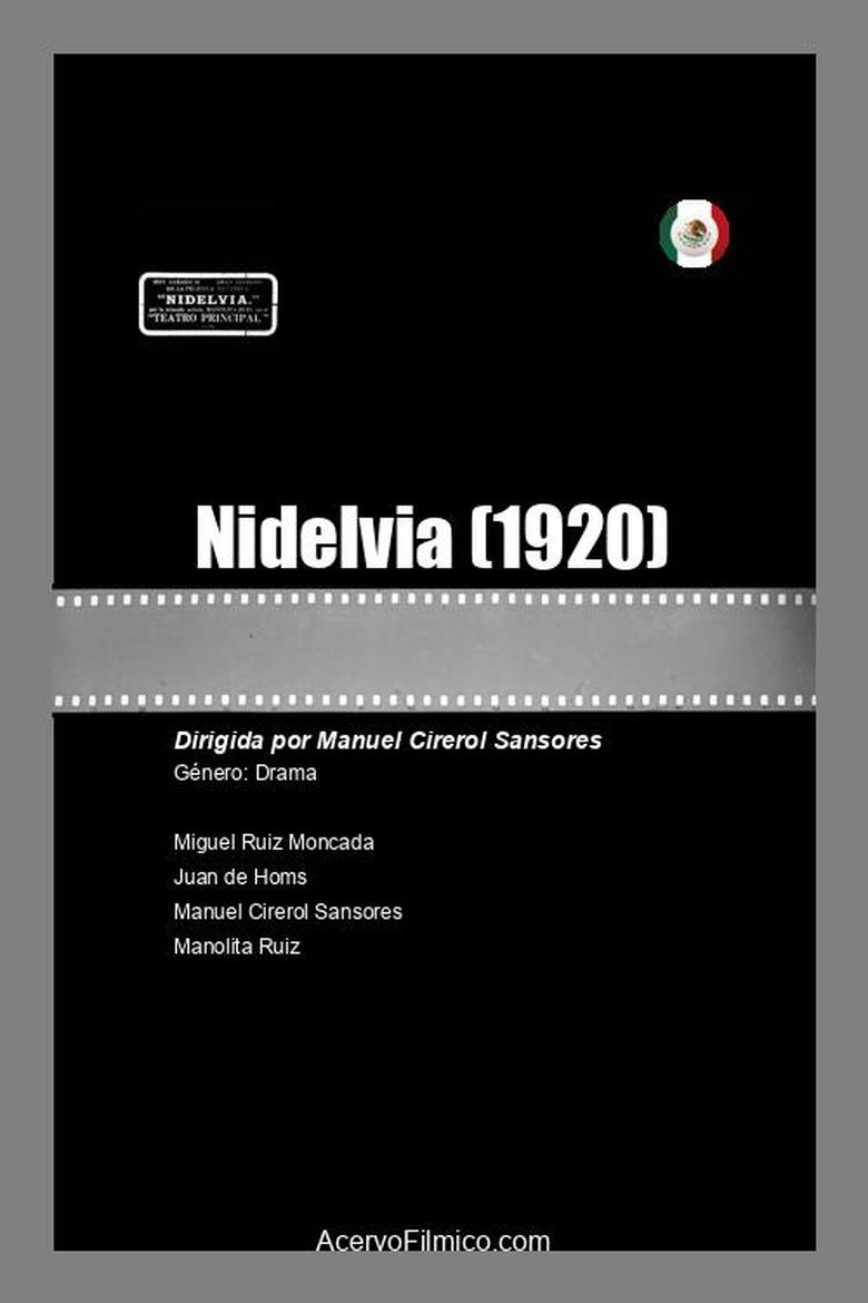 Nidelvia main poster