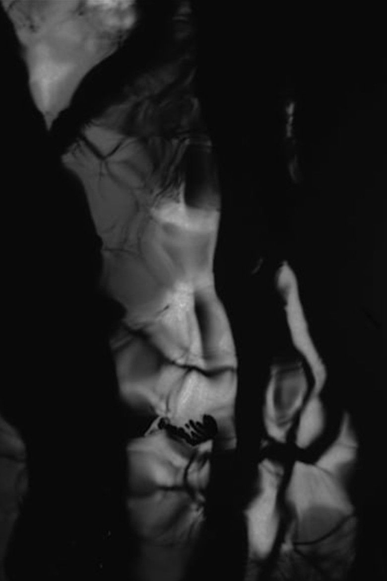 Imatge de Black River