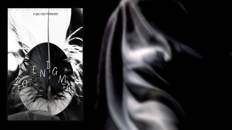 Imatge de O Enigma