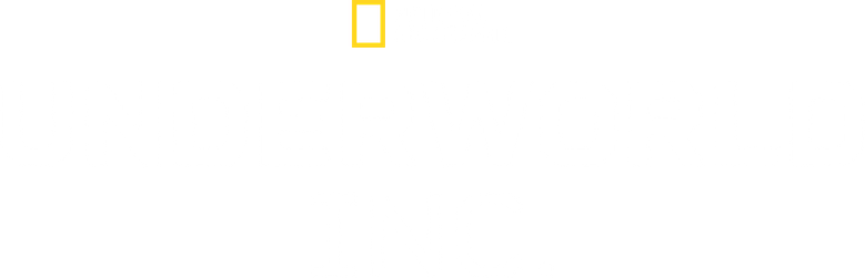 Underworld, Inc.