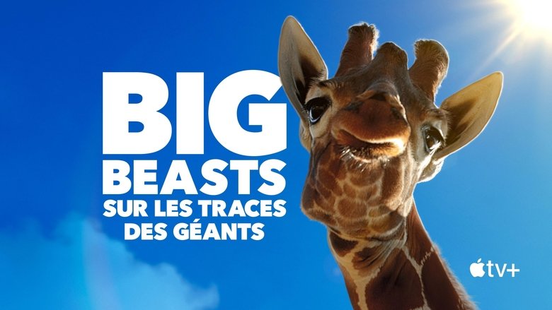 Gallery image from gom6H88grH87JzIeAWLm2QTWrrQ.jpg