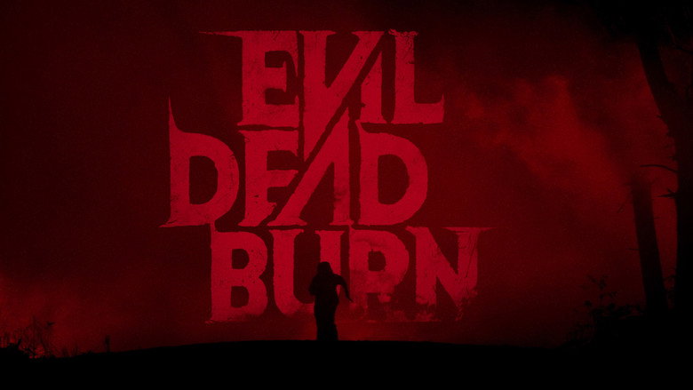 Film backdrop