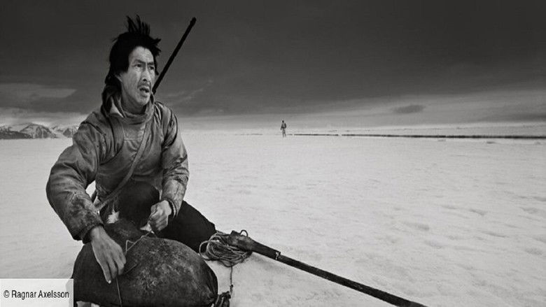 Gallery image from gp4Jz81nHsgkWaeeqTR2aWW2Yul.jpg