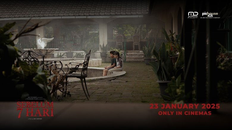 Gallery image from gpKu8S3MK2dOMjEUqWOxTBSlg7K.jpg