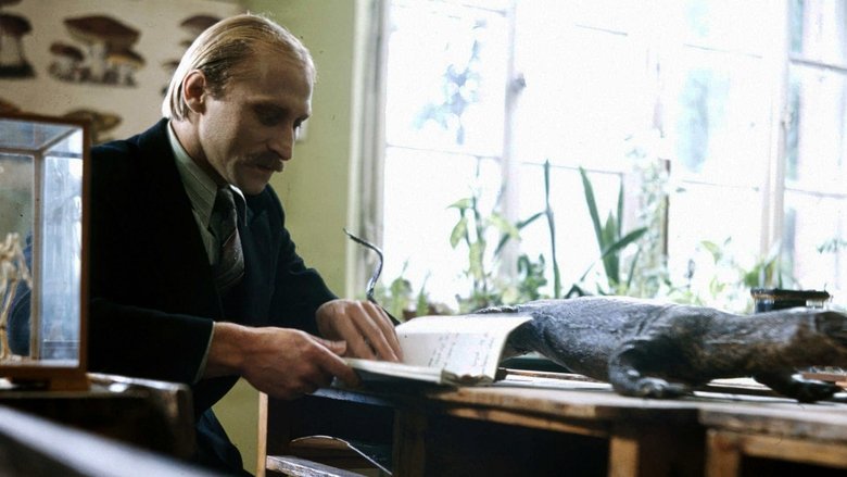 Gallery image from gpaekTm0NPH29HlT432ziuVTiR4.jpg