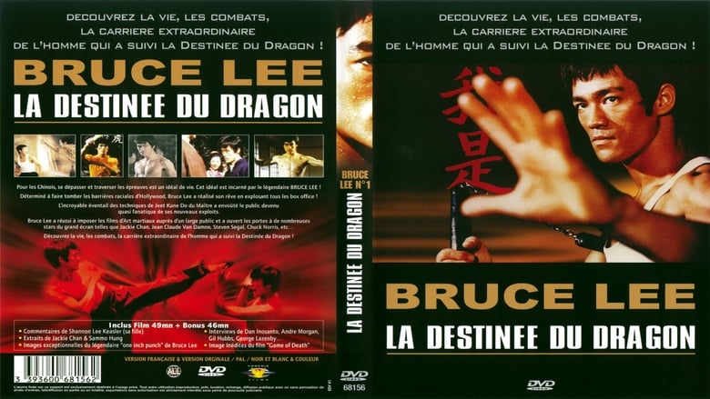 Bruce Lee - La Destinée du Dragon movie poster