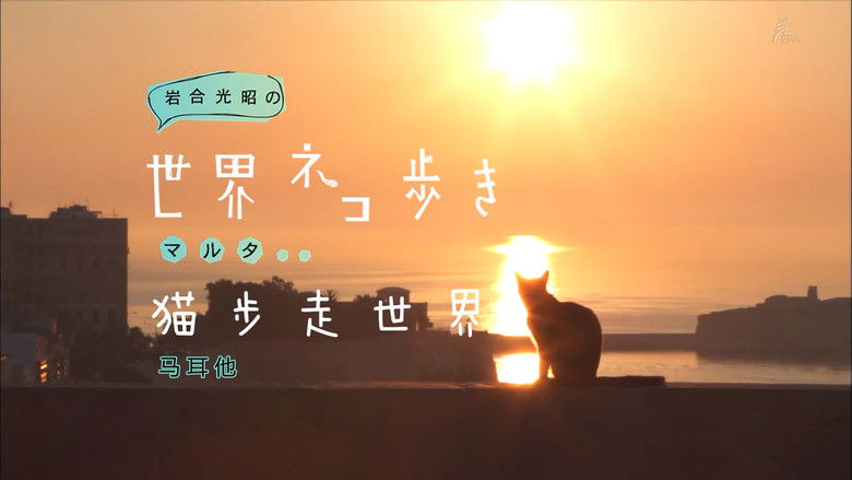 Still image for Mitsuaki Iwago's World “Cats” Travelogue season 1 episode 30: Malta Still image for Mitsuaki Iwago's World “Cats” Travelogue season 1 episode 30: Malta