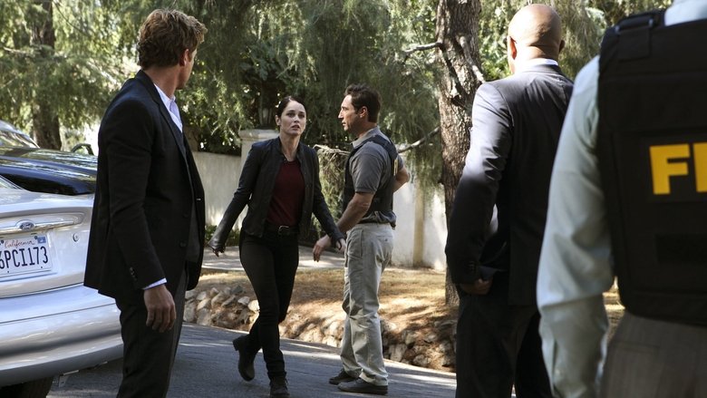 Stream Mentalist Stream Mentalist