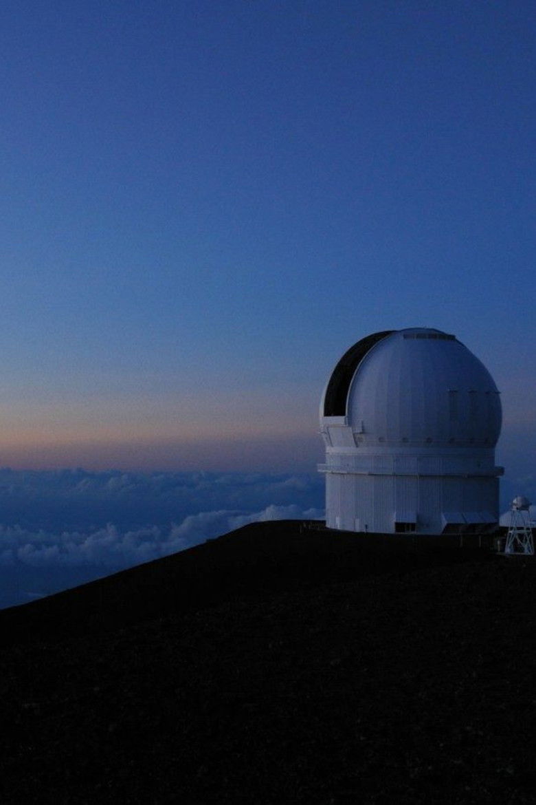 Imatge de Swarm Season