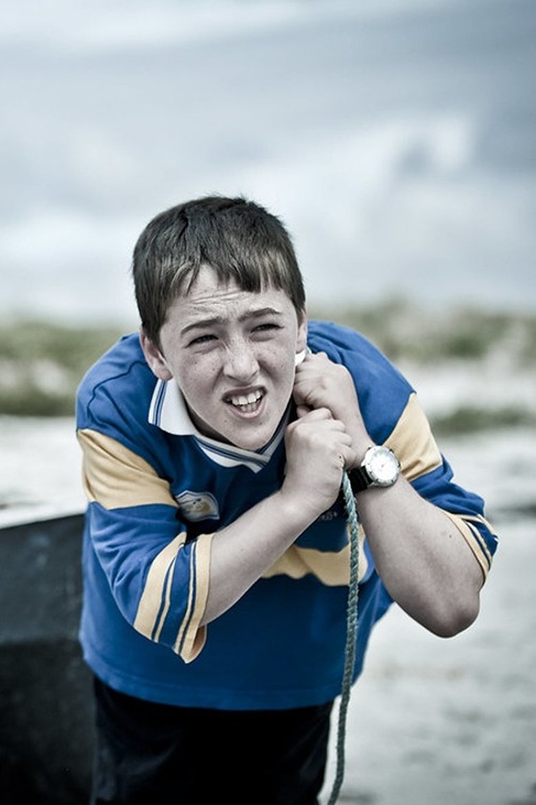 An tÁdh (2011)