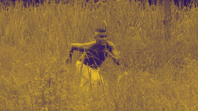 Backdrop for Memória: História é filme, não é foto.