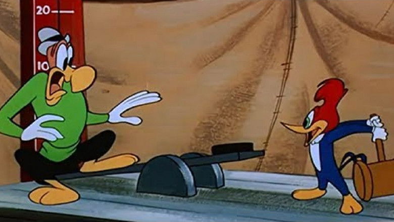 [Full TV] The Woody Woodpecker Show Season 3 Episode 12 Episode 12