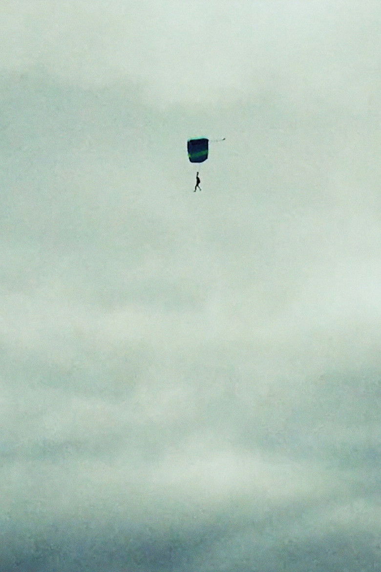 Imatge de Jimi Could Have Fallen from the Sky