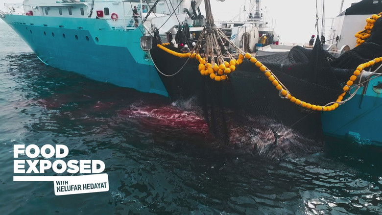 Still image for Food Exposed with Nelufar Hedayat season 1 episode 2: Fish