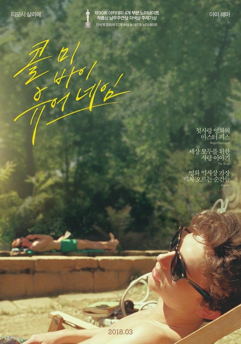 콜 미 바이 유어 네임 (2017)