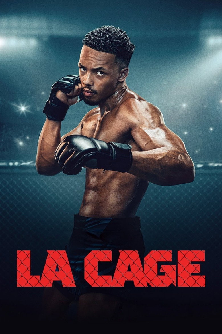 Póster la Serie