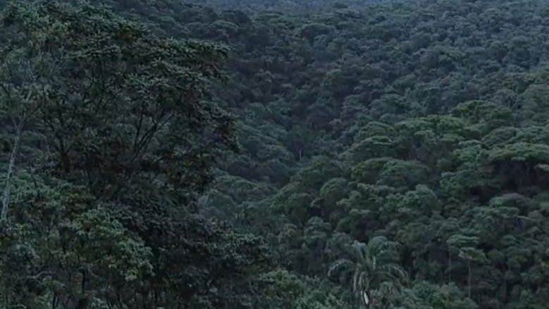 Gallery image from gwAt2IL1vMHUOXSzvcQBsnWIAJb.jpg