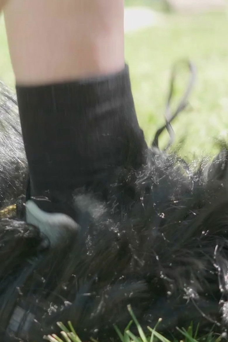 Imatge de LES DAMES.