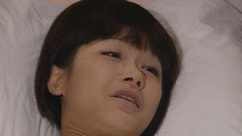 真情 Temporada 1 Episodio 253 Cuevana 3