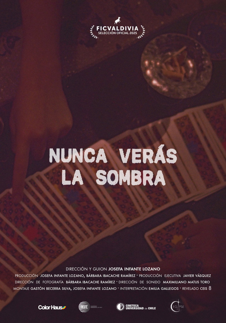 Imatge de Nunca verás la sombra