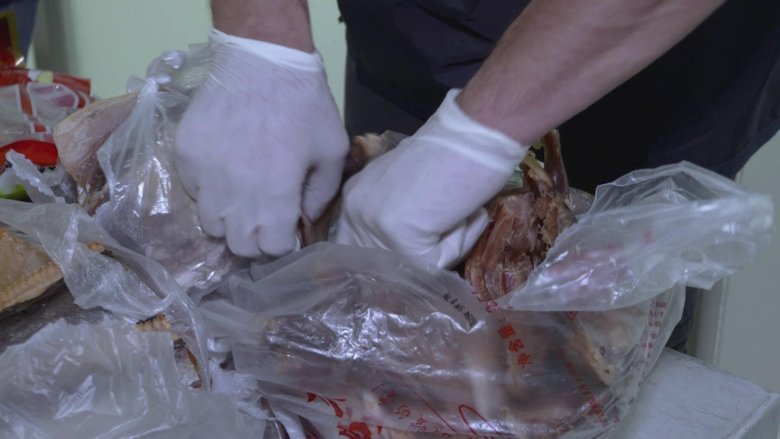 Still image for Border Control: Europe season 1 episode 9: On Their Heels Still image for Border Control: Europe season 1 episode 9: On Their Heels