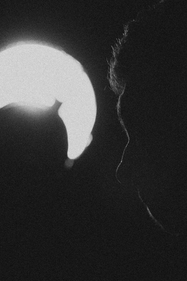 Imatge de Yesterday, it rained