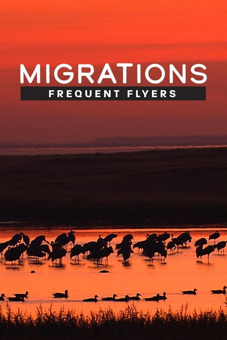 Migrations: Frequent Flyers main poster
