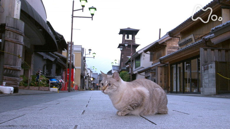 Still image for Mitsuaki Iwago's World “Cats” Travelogue season 1 episode 89: Kawagoe and Chichibu Still image for Mitsuaki Iwago's World “Cats” Travelogue season 1 episode 89: Kawagoe and Chichibu
