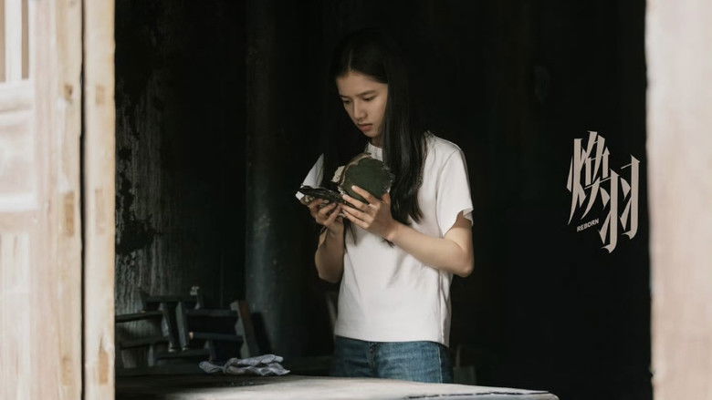 Gallery image from gz6gtG5wvnYbRUVnrfP55B46bsp.jpg