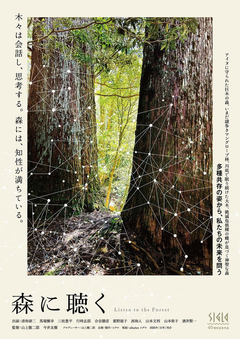 Imatge de 森に聴く Listen to the Forest