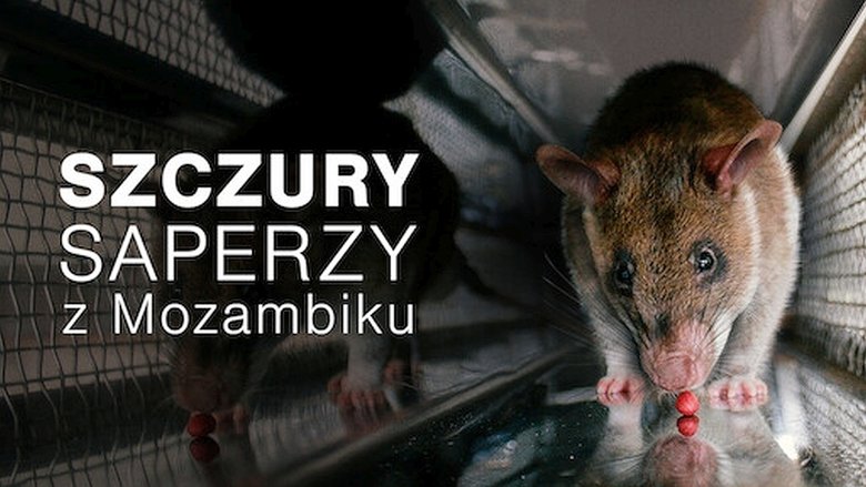 Gallery image from h03QeLBWosF3L1uUbZMcGFk3SQ4.jpg