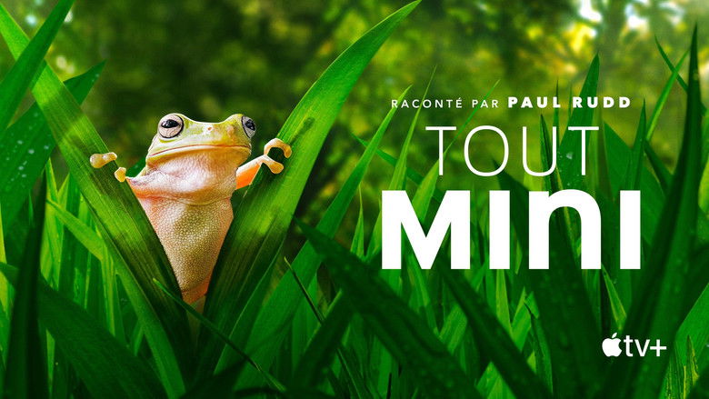 Gallery image from h09J6Xj8uzG4WYqG4y0QmEgU7P1.jpg