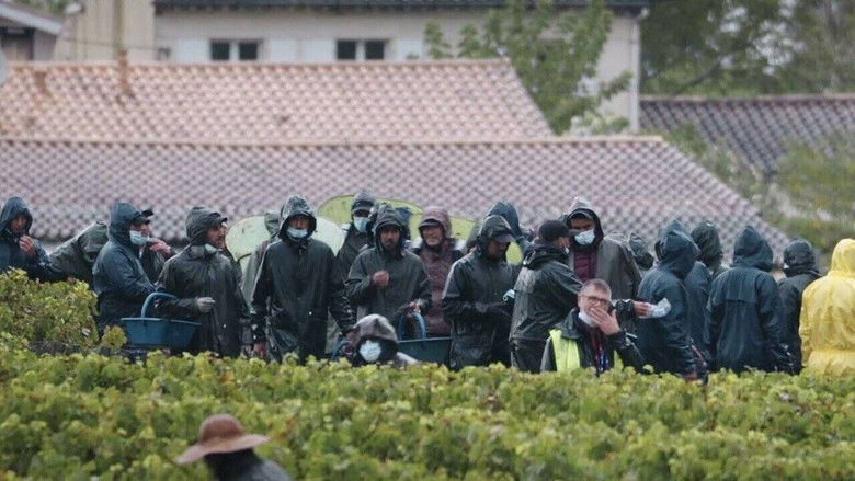 Gallery image from h0FwlwfQuXIPf1wDQHFIjmSEEls.jpg