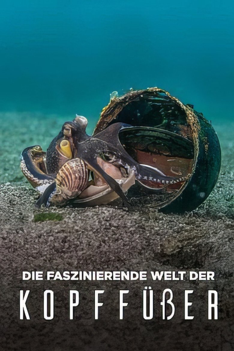 Die faszinierende Welt der Kopffüßer poster