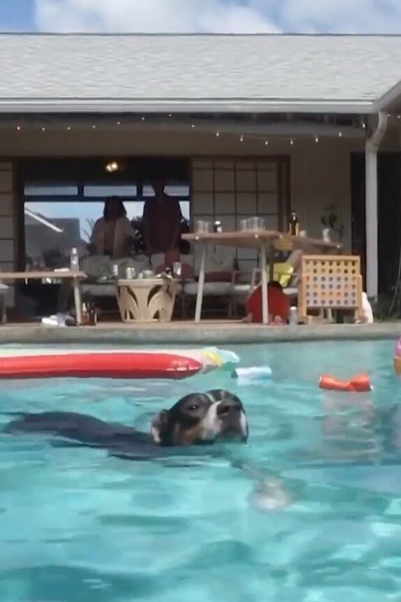 Imatge de How We Became Friends