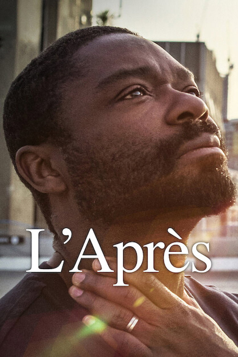 Póster la Película