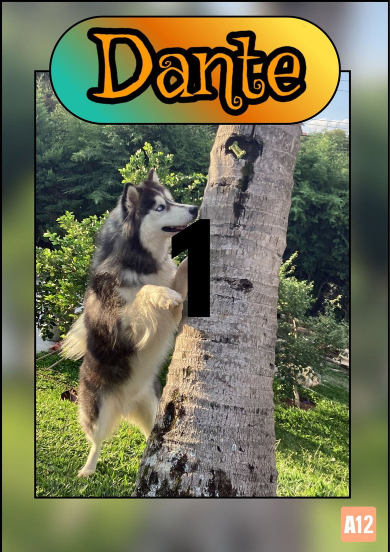 Episode 2